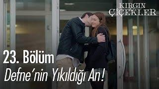 Defnenin yıkıldığı an - Kırgın Çiçekler 23. Bölüm