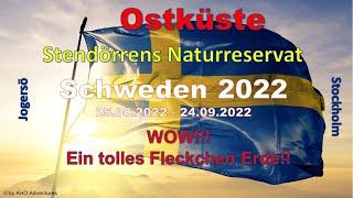 #9 - Ostküste - Traumreise Schweden 2022 - Stendörrens Naturreservat - Jogersö