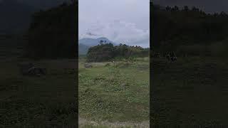 Wisata Ranu Manduro - Ngoro - Mojokerto