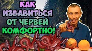 КАК ИЗБАВИТЬСЯ ОТ ЧЕРВЕЙ КОМФОРТНЫМ МЕТОДОМ Фильм- 1. Виталий Островский  Паразиты глисты