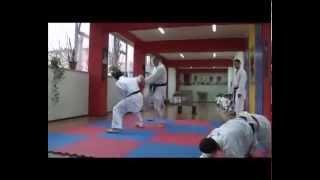 Armenian Karate Federation