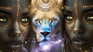 LIONS GATE PORTAL ACTIVATION