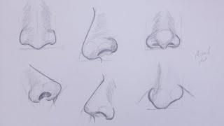 How to draw 6 different noses drawing sketches