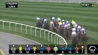 Dubai Gold Cup Sponsored by Al Tayer Motors – Tower Of London– Dubai World Cup 2024