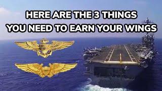 Here Are the 3 Things You Need to Earn Your Wings
