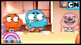 Anais The Evil Genius  Gumball  Cartoon Network