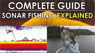 Complete Guide To Video Game Fishing  Sonar Tackle and Areas Explained