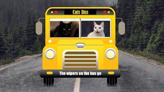 Cats SIng Wheels on the Bus  + More Nursery Rhymes & Kids Songs - Cats Version