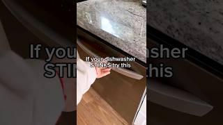 Quick Fix Say Goodbye to Dishwasher Odors
