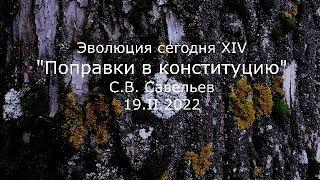 С.В. Савельев -  Поправки в конституцию