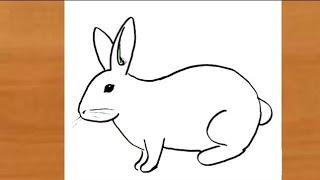 How to draw a Rabbit easy  Bunny  Rabbit drawing for beginners  Bunny drawing easy step by step