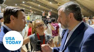 Why only in America? UK reporter presses Sen. Cruz on gun control  USA TODAY