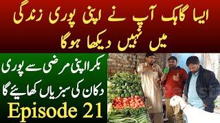 Baqra Apni Marzi Se Sabzi Khaay Ga  Desi Anchor Zahid khan  Episode 21 Shaan Pakistan