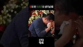 별이 된 반려견이 생각날 때