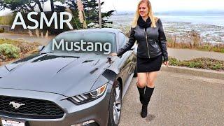  Mustang ASMR   Soft Spoken • Lo-Fi