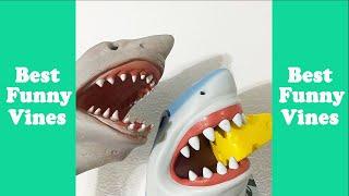 Funny Shark Puppet Funny Compilation 2020 WTitles Best Shark Puppet Vine Videos