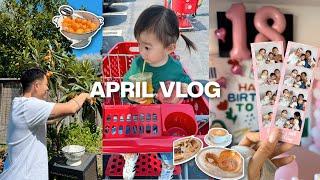 APRIL VLOG｜跟我过周末｜实现枇杷自由｜旅行回来reset