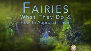 3 - Fairies What they do and how to approach them