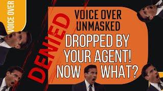 AGENT DROPS VOICE ACTOR - WHY? + Stories When Mike & Heidi Have Been Rejected