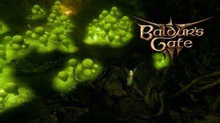 Saving the Mushroom Picker    BG3    Patch 6