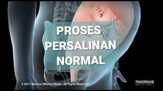 PROSES PERSALINAN NORMAL