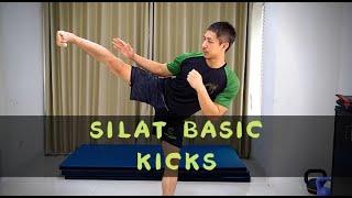 Solo Silat at Home - Basic Kicks