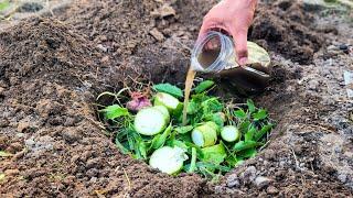 I do this every year and my vegetables grow like crazy in my garden