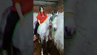 Beautiful Girl sitting on horse beautiful girl horse ride #ghoda #horseracing #horse #ghodi #horses