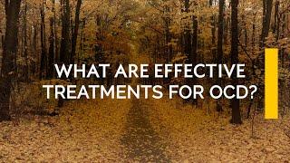 Question 4 - What are effective treatments for OCD?