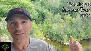 Midsummer Food Forest Tour Part 1