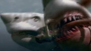 2 headed shark attack - Kirstens death