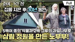 Full 숲이 그린 집 - 뉴질랜드 남섬 - 부부가 만든 작은 숲