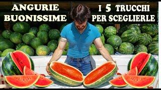 WATERMELON THE 5 INFALLABLE TRICKS TO RECOGNIZE RIPE SWEET RED AND DELICIOUS WATERMELON