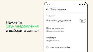 Как настраивать индивидуальные звуки уведомлений для личных и групповых чатов  WhatsApp