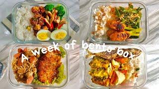 a week of bento box   ide bekal makan siang #1