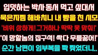 반전 신청사연 입덧하는 박사동서 먹고싶대서 묵은지찜 해주니 내뺨올린 시모비위상하게 그거하나 딱딱못맞춰순간 남편이 대갚음하는데실화사연사연낭독라디오드라마라디오사이다썰