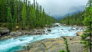 Beautiful Nature River flowing in Canada 4k. Relaxing River Sounds Nature White Noise for Sleeping.