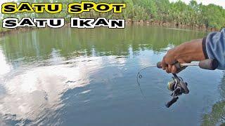 Mancing Berbagai Jenis Ikan Muara