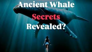 Unlocking the Secrets of Whales Ancient Sonar Hidden Knowledge from Earths Past?