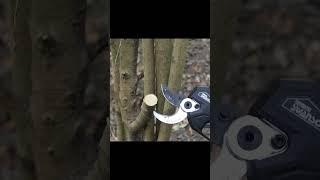 PRU-40 professional electric pruning shear cutting video from Swansoft