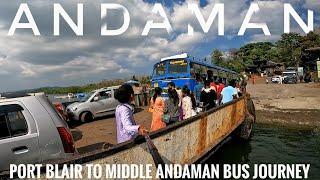 Port Blair to Rangat Thrilling Bus Journey 2024  Middle Andaman