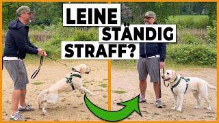 Hund an der Leine führen I So bleibt die Leine locker