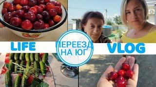 Влог# 505 Переехали на ЮГ и не ЖАЛЕЕМ  Гостеприимство Угощения Объедение ЧЕРЕШНЕЙ 