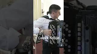 Siniša Tufegdžić - Carske Kočije - LIVE #orkestarsinisetufegdzica #live #sinisatufegdzic