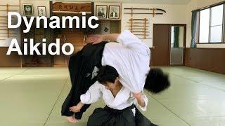 Dynamic and Technical Aikido - Shirakawa Ryuji shihan