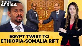 Egypt Sends Weapons To Somalia Tensions Escalate With Ethiopia  Firstpost Africa