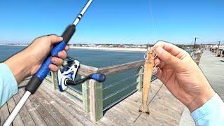Eating Whatever I Catch.. PIER Fishing Catch and Cook