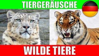 WILDE TIERE für Kleinkinder - Tierstimmen für Kinder Kindergarten Baby auf Deutsch  Lernvideo