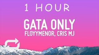 FloyyMenor - GATA ONLY ft. Cris MJ LetraLyrics  1 hour