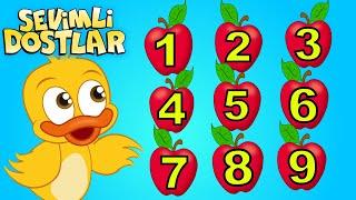 Sevimli Dostlar ile sayıları öğreniyorum  Say bakalım  Bebek Şarkıları  Kids songs Nursery Rhymes